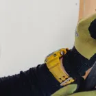 当社の特徴